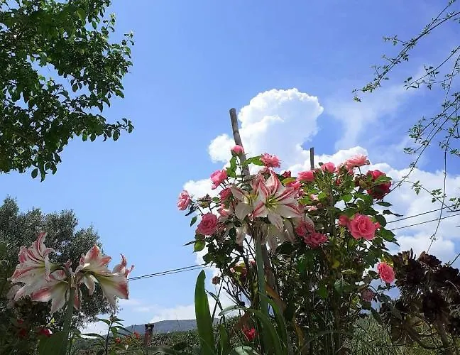 Apartamento Daphnes