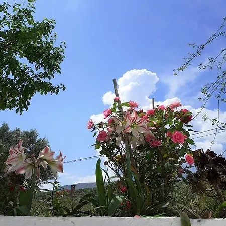 Apartment Daphnes