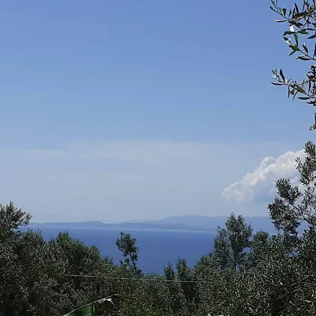 Daphnes * Ratzaklíon